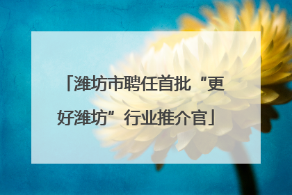 潍坊市聘任首批“更好潍坊”行业推介官