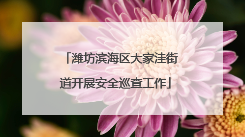 潍坊滨海区大家洼街道开展安全巡查工作
