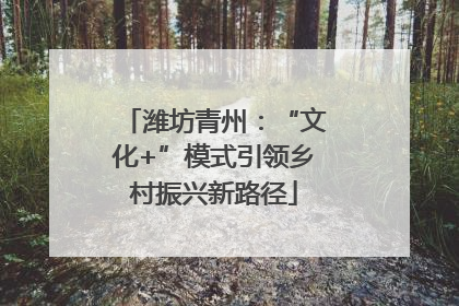 潍坊青州：“文化+”模式引领乡村振兴新路径
