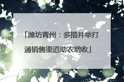 潍坊青州：多措并举打通销售渠道助农增收
