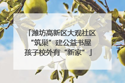 潍坊高新区大观社区“筑巢”建公益书屋 孩子校外有“新家”