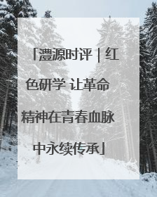 澧源时评｜红色研学 让革命精神在青春血脉中永续传承