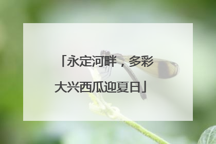 永定河畔，多彩大兴西瓜迎夏日