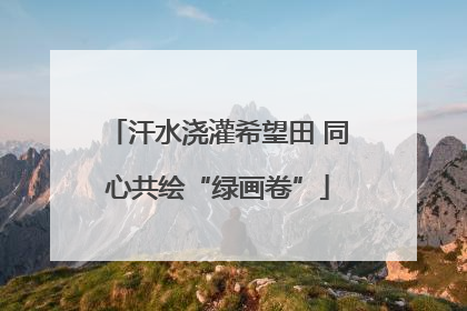汗水浇灌希望田 同心共绘“绿画卷”