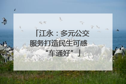 江永：多元公交服务打造民生可感“车通好”