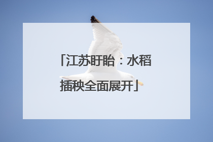 江苏盱眙：水稻插秧全面展开