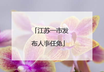 江苏一市发布人事任免