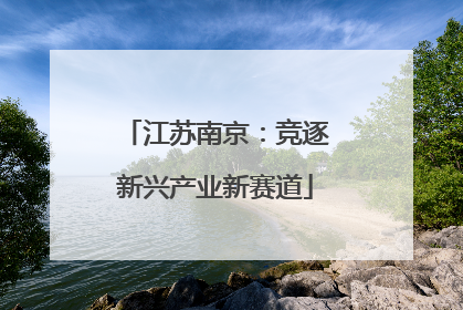 江苏南京：竞逐新兴产业新赛道