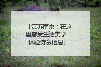 江苏南京：在这里感受生活美学 体验诗意栖居