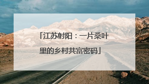 江苏射阳：一片桑叶里的乡村共富密码