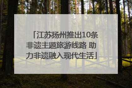 江苏扬州推出10条非遗主题旅游线路 助力非遗融入现代生活