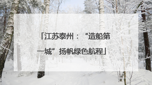 江苏泰州：“造船第一城”扬帆绿色航程