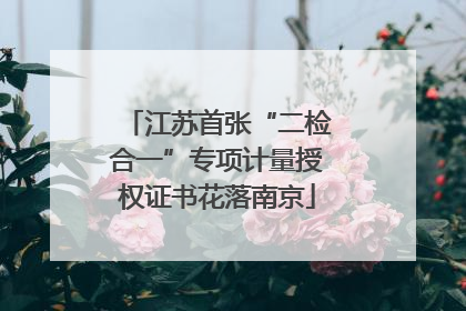 江苏首张“二检合一”专项计量授权证书花落南京
