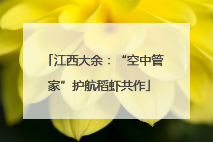 江西大余：“空中管家”护航稻虾共作