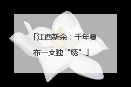 江西新余：千年夏布一支独“绣”