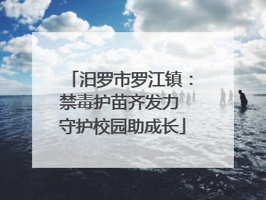 汨罗市罗江镇：禁毒护苗齐发力 守护校园助成长