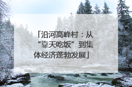 沿河高峰村：从“靠天吃饭”到集体经济蓬勃发展