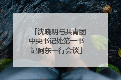 沈晓明与共青团中央书记处第一书记阿东一行会谈