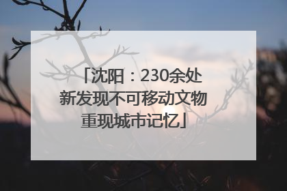 沈阳：230余处新发现不可移动文物重现城市记忆