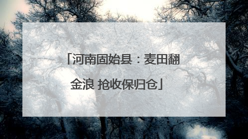 河南固始县：麦田翻金浪 抢收保归仓