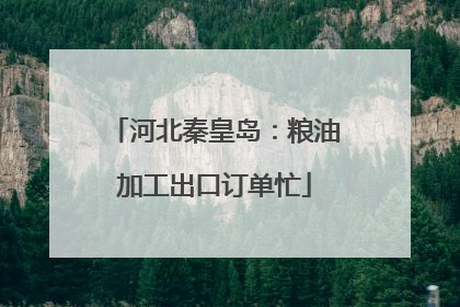 河北秦皇岛：粮油加工出口订单忙