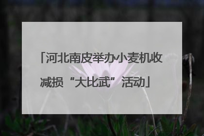 河北南皮举办小麦机收减损“大比武”活动