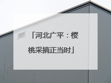 河北广平：樱桃采摘正当时