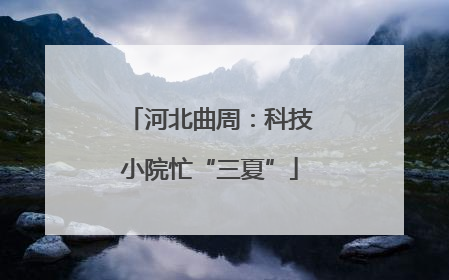 河北曲周：科技小院忙“三夏”