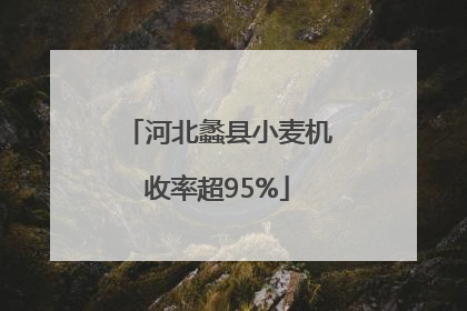 河北蠡县小麦机收率超95%