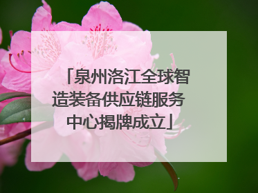 泉州洛江全球智造装备供应链服务中心揭牌成立