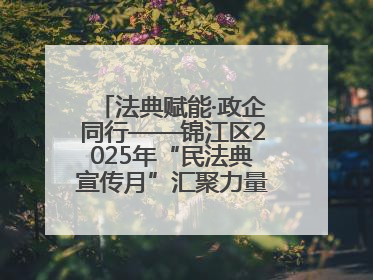 法典赋能·政企同行——锦江区2025年“民法典宣传月”汇聚力量 助推企业发展