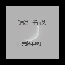 泗洪：千亩茭白喜获丰收