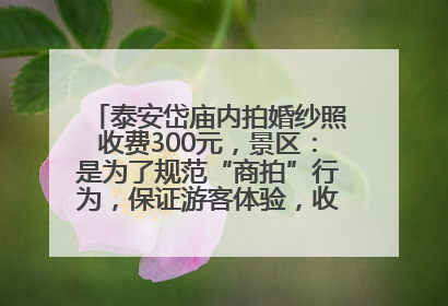 泰安岱庙内拍婚纱照收费300元，景区：是为了规范“商拍”行为，保证游客体验，收取费用全部上交国库