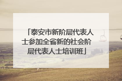 泰安市新阶层代表人士参加全省新的社会阶层代表人士培训班
