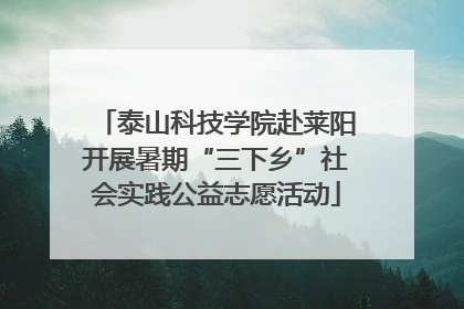 泰山科技学院赴莱阳开展暑期“三下乡”社会实践公益志愿活动