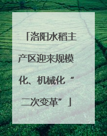 洛阳水稻主产区迎来规模化、机械化“二次变革”