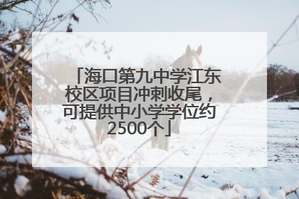海口第九中学江东校区项目冲刺收尾，可提供中小学学位约2500个