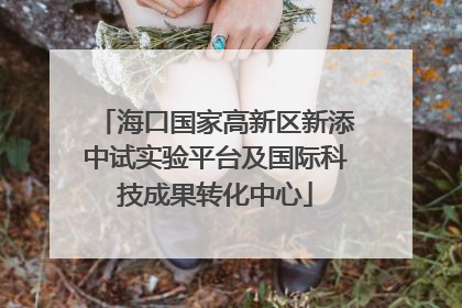 海口国家高新区新添中试实验平台及国际科技成果转化中心
