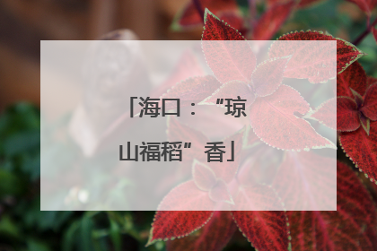 海口：“琼山福稻”香