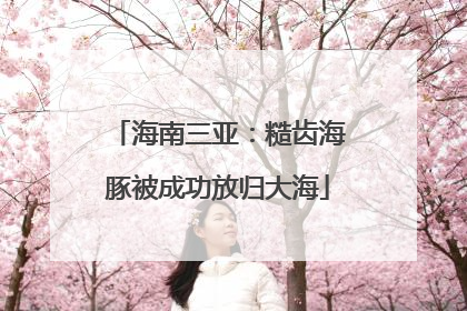 海南三亚：糙齿海豚被成功放归大海