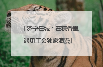 济宁任城：在粽香里遇见工会独家浪漫