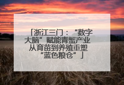 浙江三门：“数字大脑”赋能青蟹产业 从育苗到养殖重塑“蓝色粮仓”