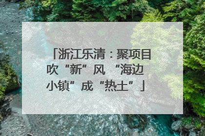 浙江乐清：聚项目吹“新”风 “海边小镇”成“热土”