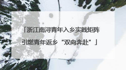浙江南浔青年入乡实践矩阵 引燃青年返乡“双向奔赴”