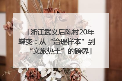 浙江武义后陈村20年蝶变：从“治理样本”到“文旅热土”的跨界