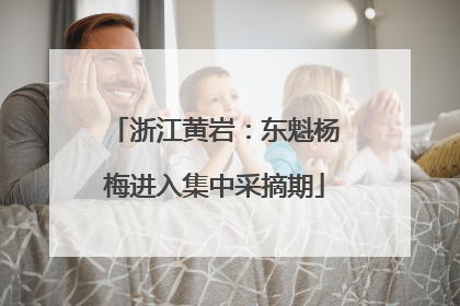 浙江黄岩：东魁杨梅进入集中采摘期