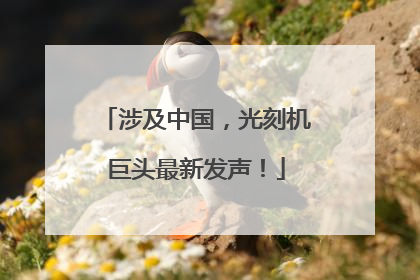 涉及中国，光刻机巨头最新发声！