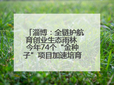 淄博：全链护航育创业生态雨林 今年74个“金种子”项目加速培育 政策性扶持创业9754人
