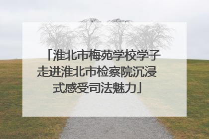 淮北市梅苑学校学子走进淮北市检察院沉浸式感受司法魅力