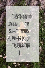 清华硕博连读，“85后”市政府秘书长李一飞履新职